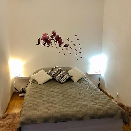 Mia'S House Apartment Pitesti Bagian luar foto
