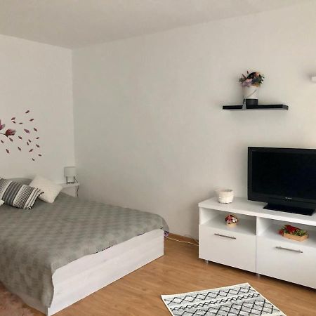 Mia'S House Apartment Pitesti Bagian luar foto