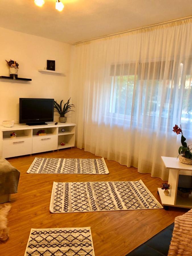 Mia'S House Apartment Pitesti Bagian luar foto