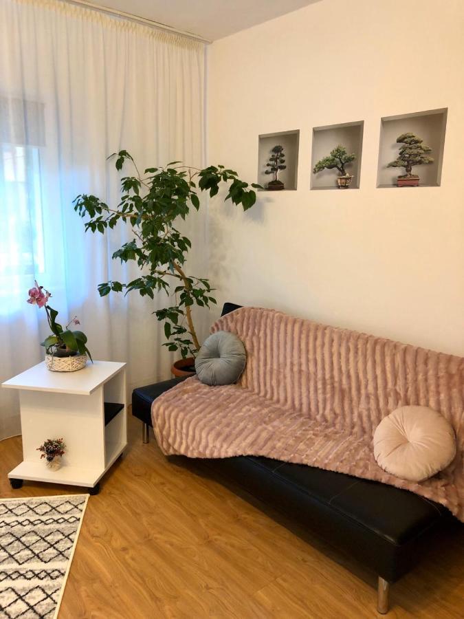 Mia'S House Apartment Pitesti Bagian luar foto